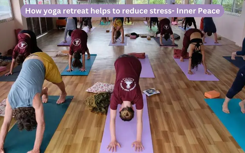Benefits of Yoga Teacher Training in Nepal
