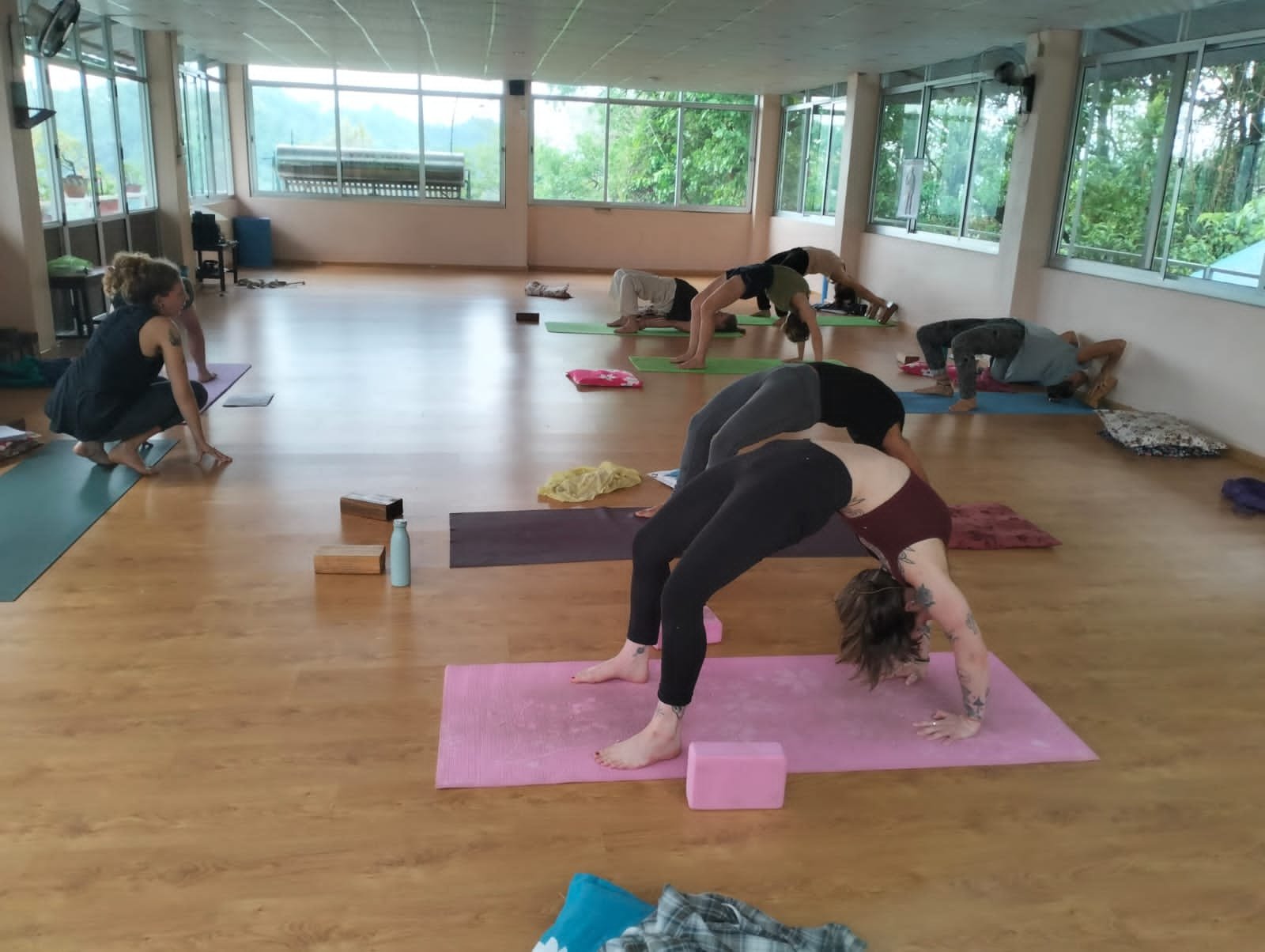 Sun Salutation Yoga